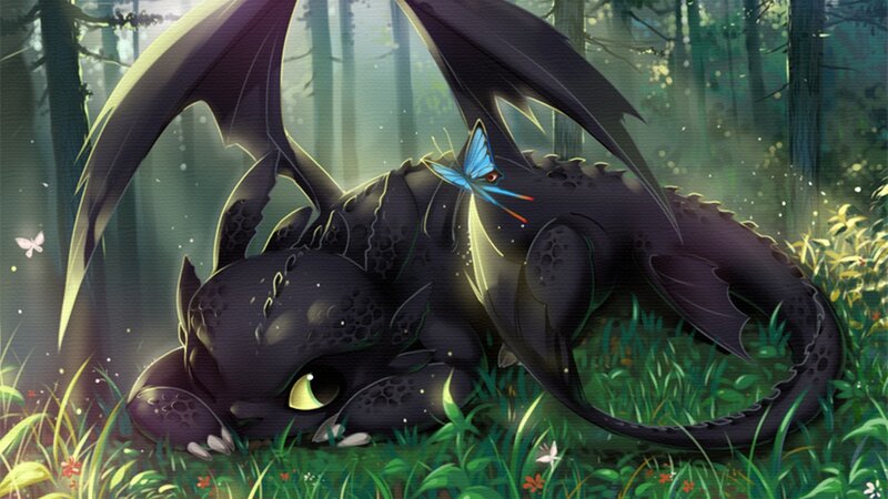 Black Dragon in Forest