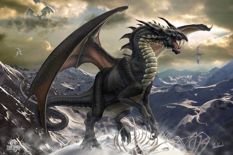 Black Dragon in Mountains — Gray