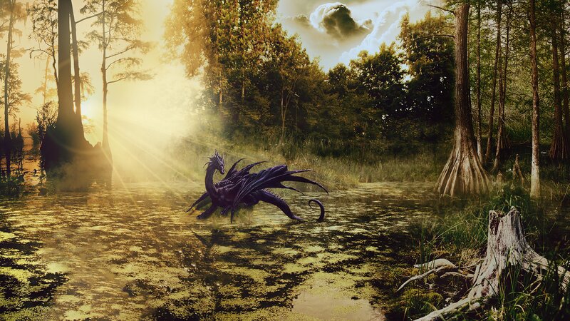 Black Dragon in Swamp