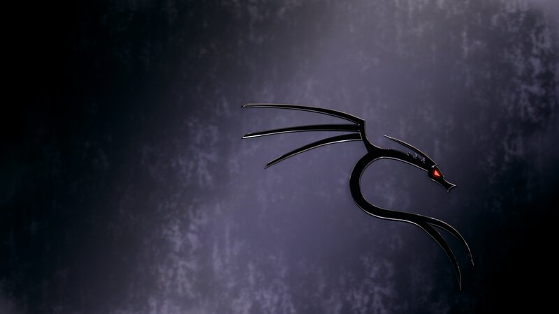 Black Dragon Logo — Dark, Mysterious