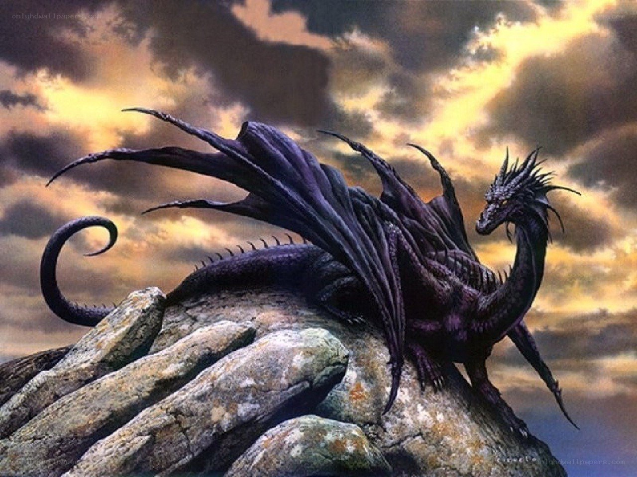 Black dragon on a rocky peak