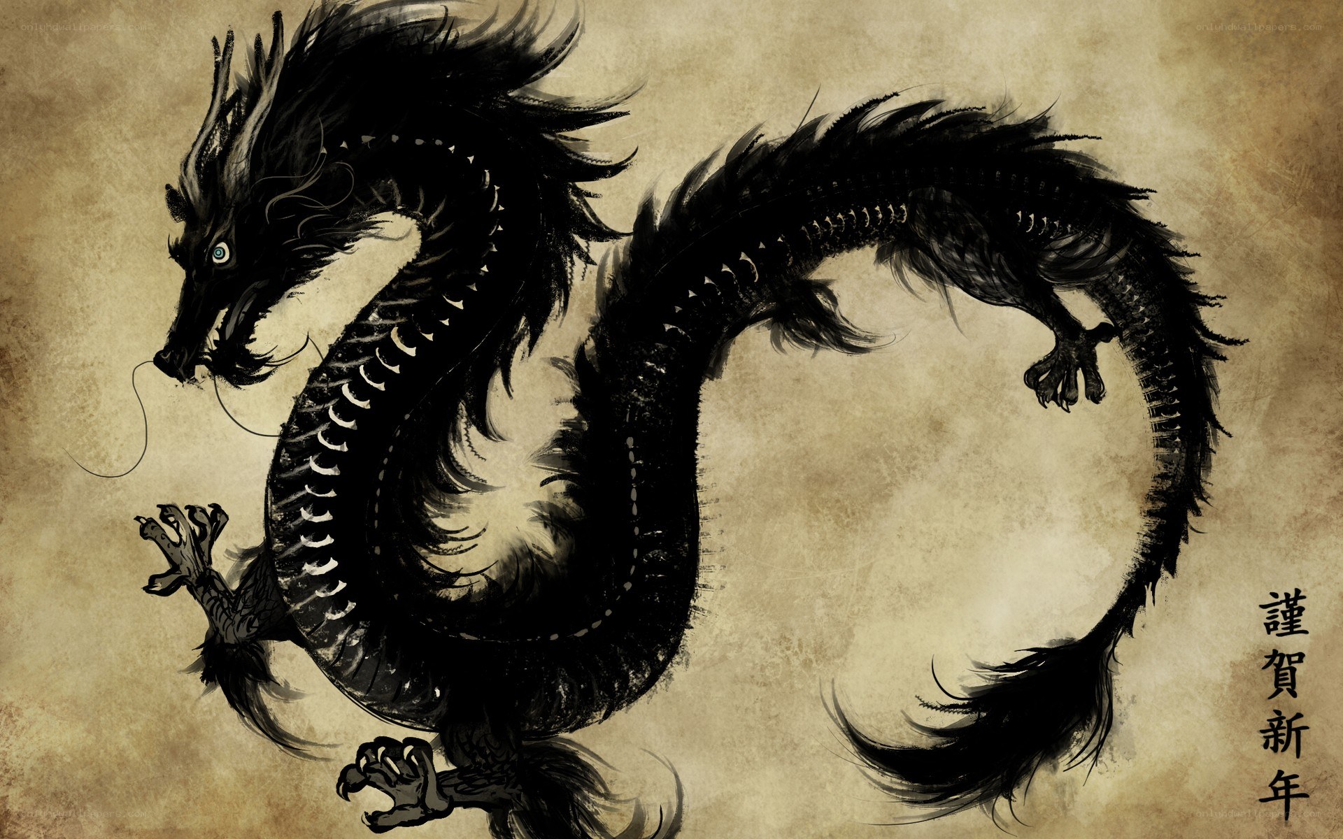 Black dragon on aged parchment