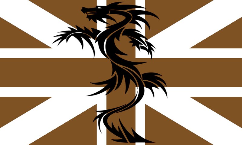 Black Dragon on Flag — Brown