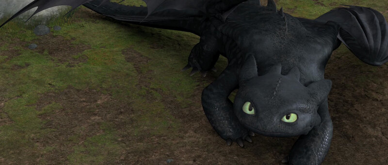 Black Dragon on Ground