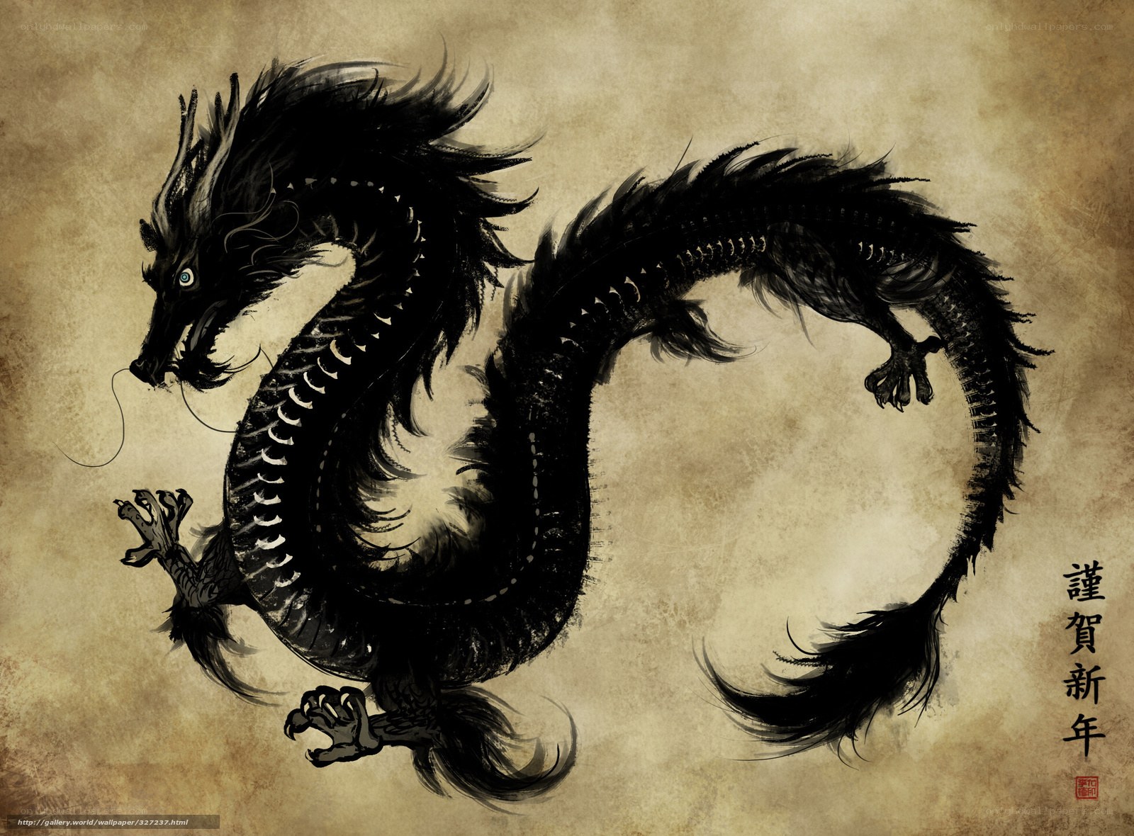 Black dragon on parchment