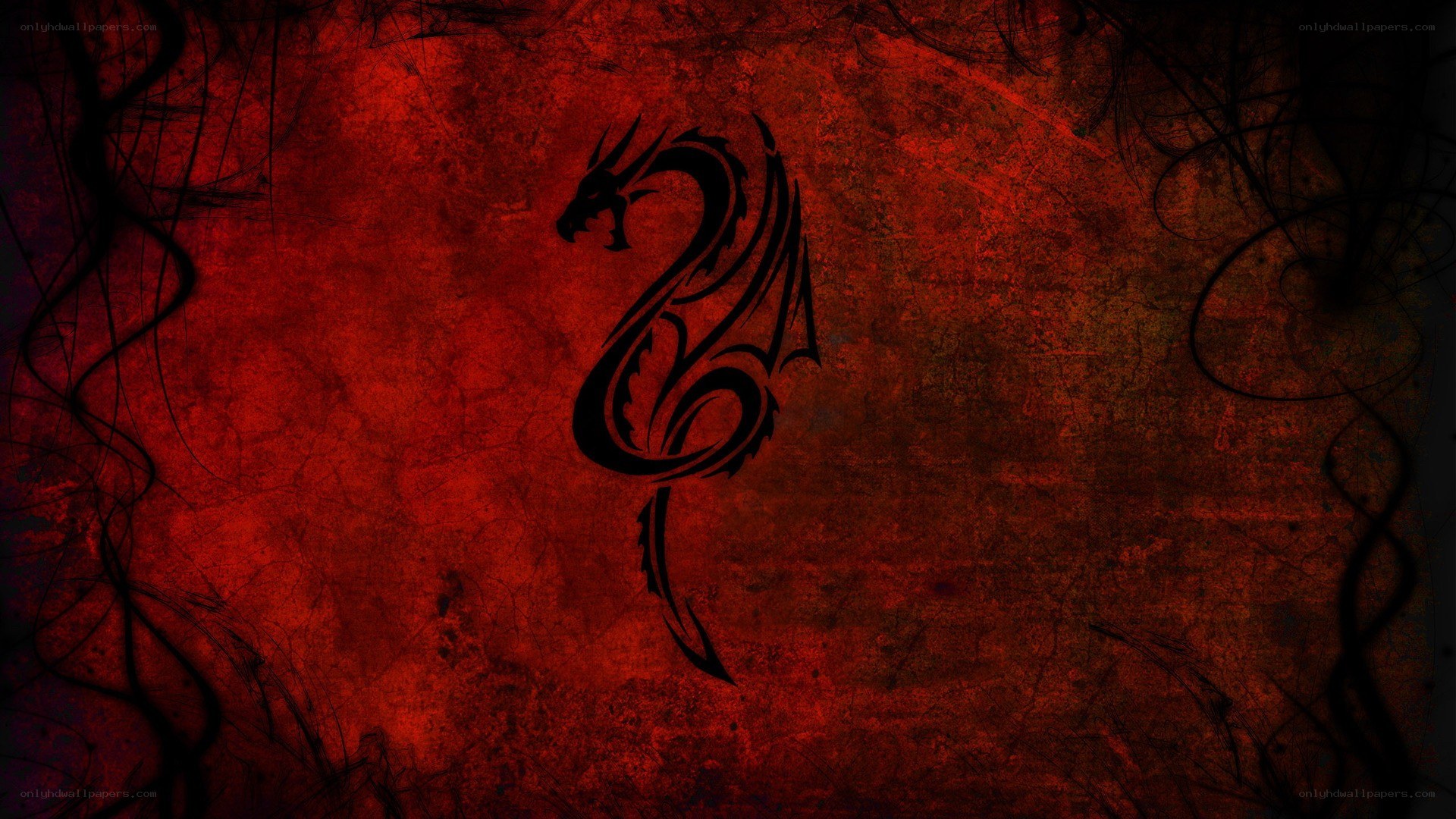 Black dragon on red grunge
