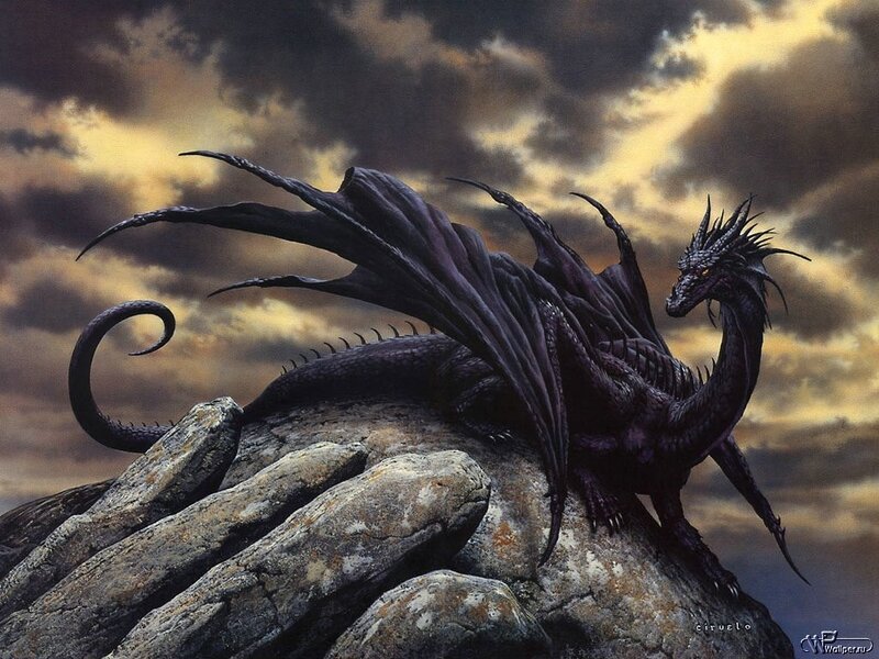 Black Dragon on Rock — Dramatic, Sunset