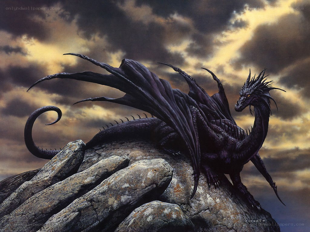 Black dragon on rocky peak