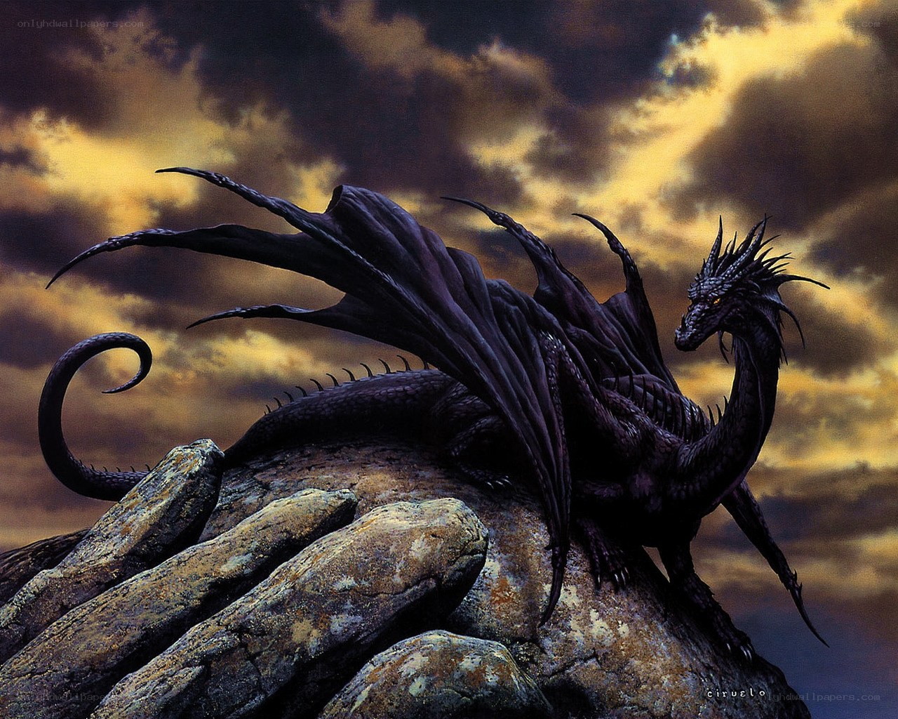 Black dragon on rocky peak