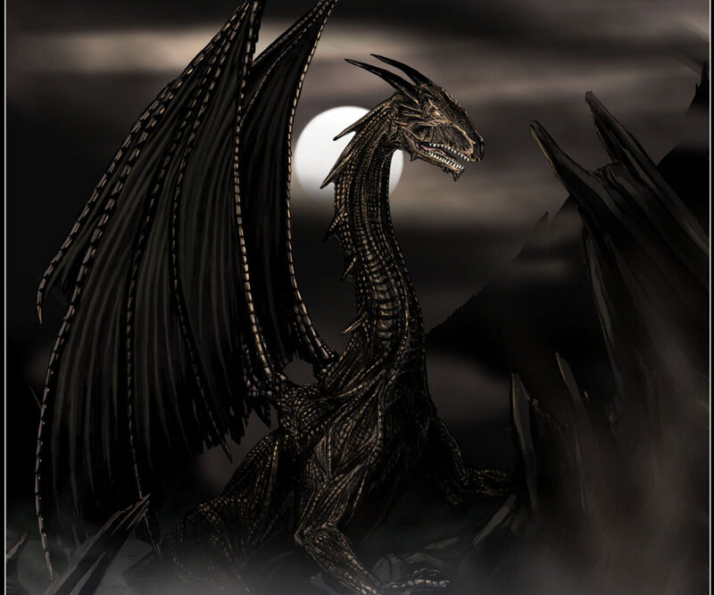 Black Dragon on Rocky Terrain