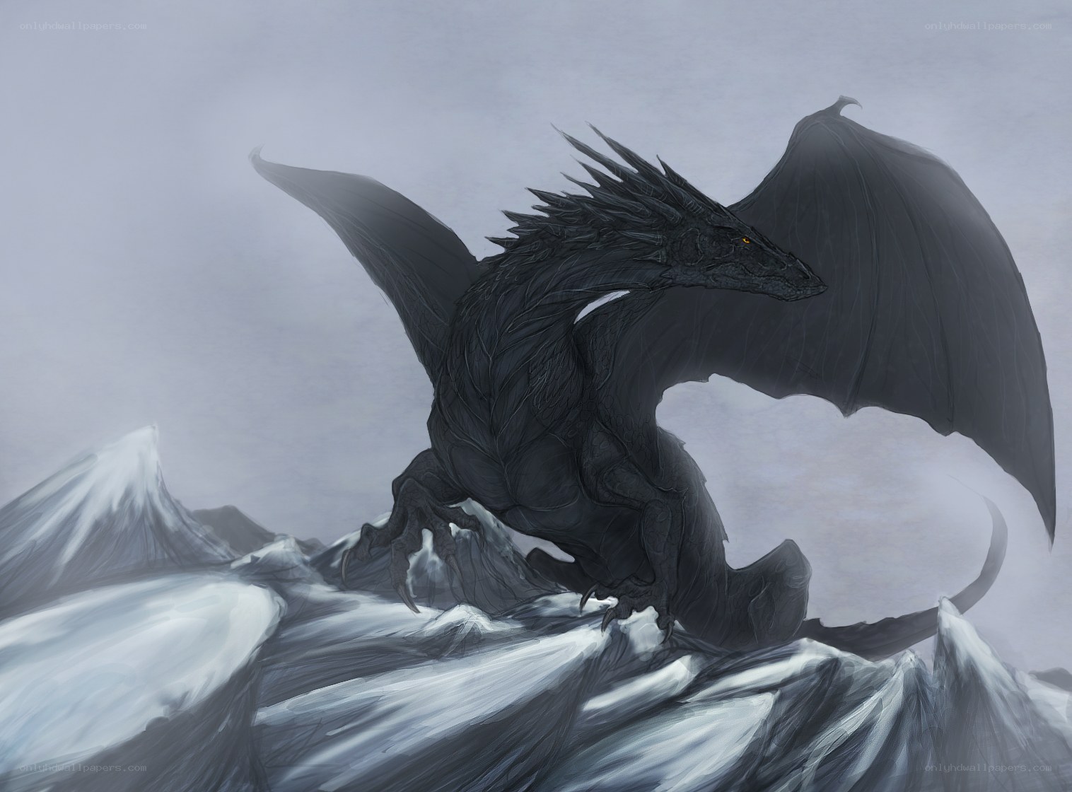 Black dragon on snowy mountain