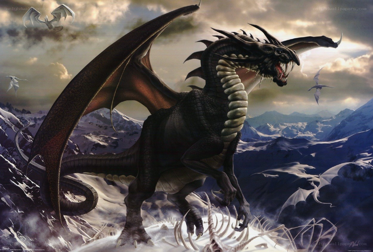 Black dragon on snowy mountain