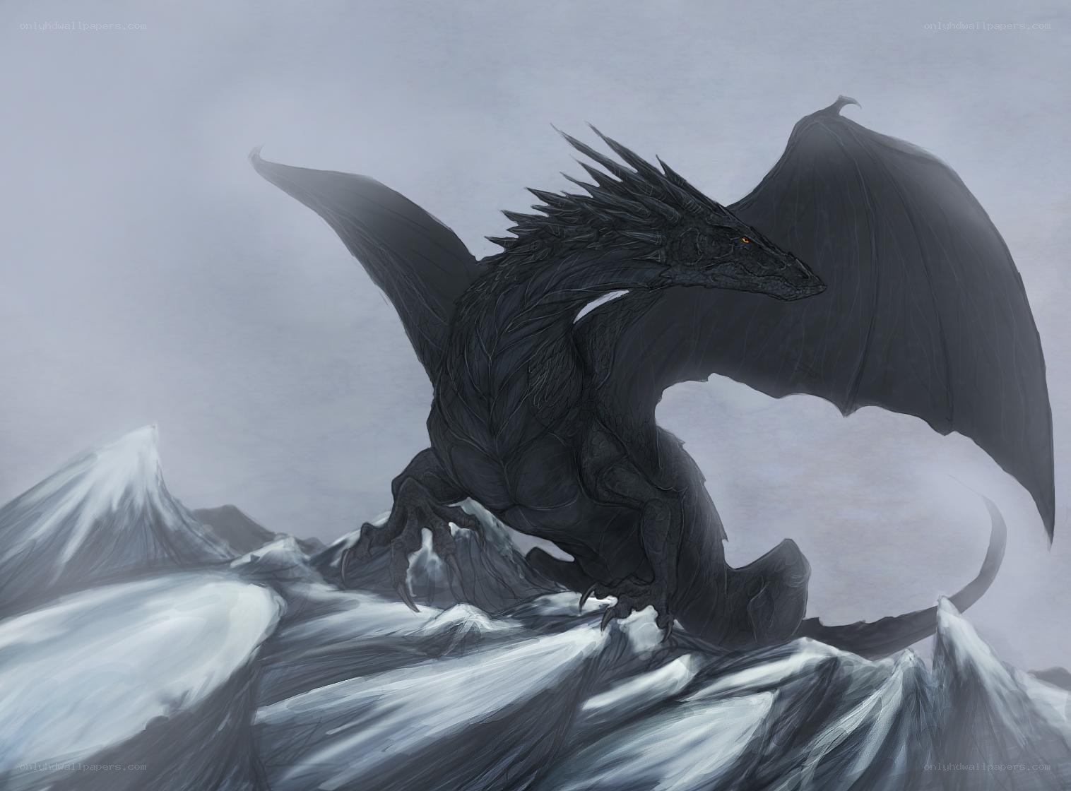Black dragon on snowy mountain