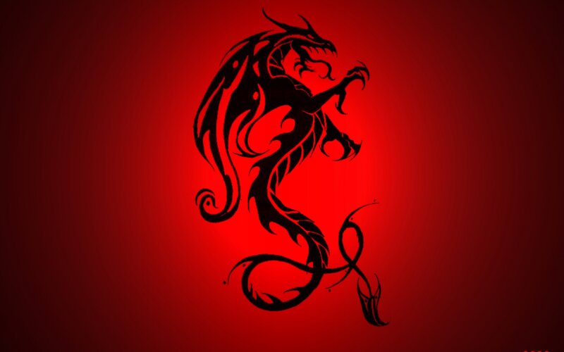 Black Dragon Silhouette — Red, Dramatic, Illustration, Red Background