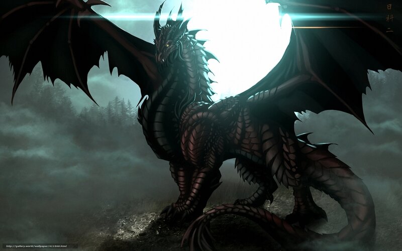 Black Dragon Standing — Dramatic