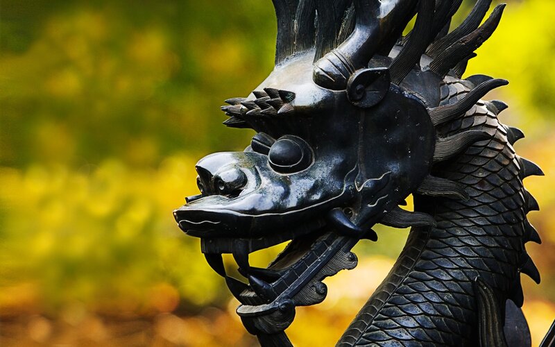 black dragon statue head