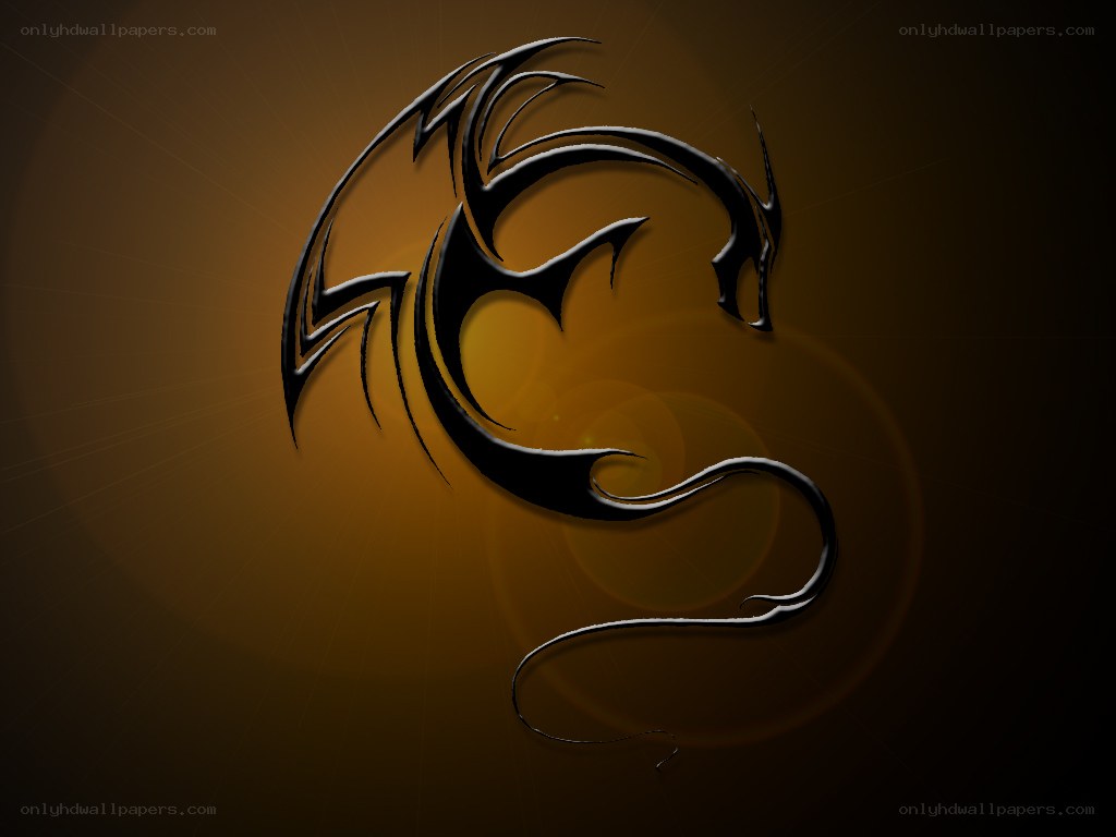 black dragon tribal design