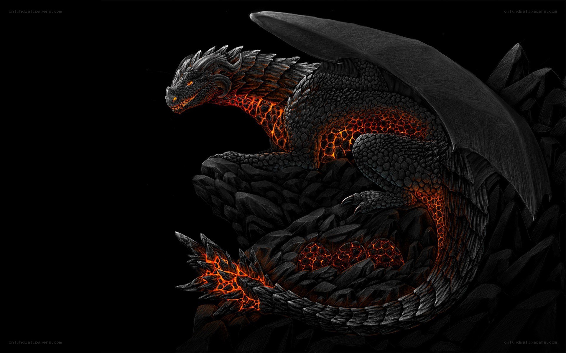 Black dragon with glowing lava