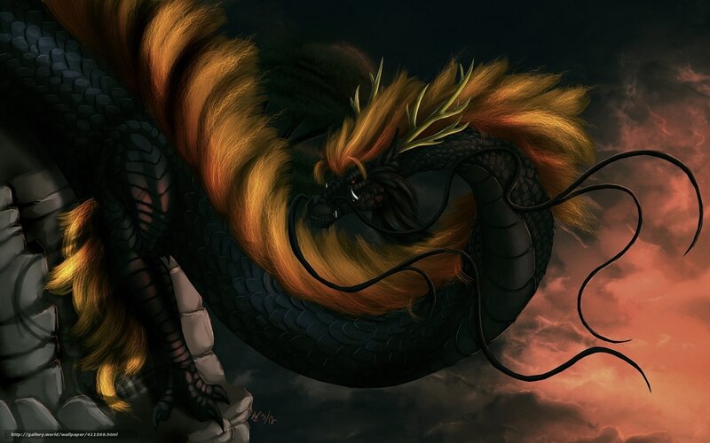 Black dragon with golden mane