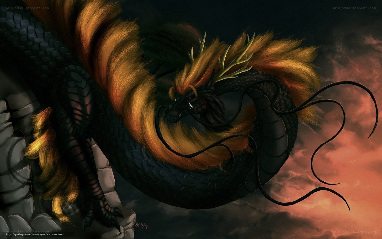 Black dragon with golden mane