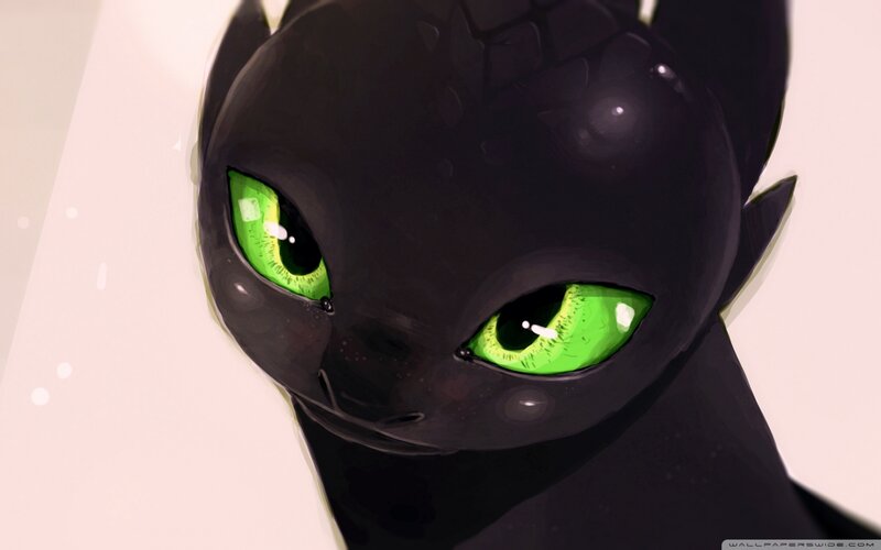 Black Dragon with Green Eyes — Calm