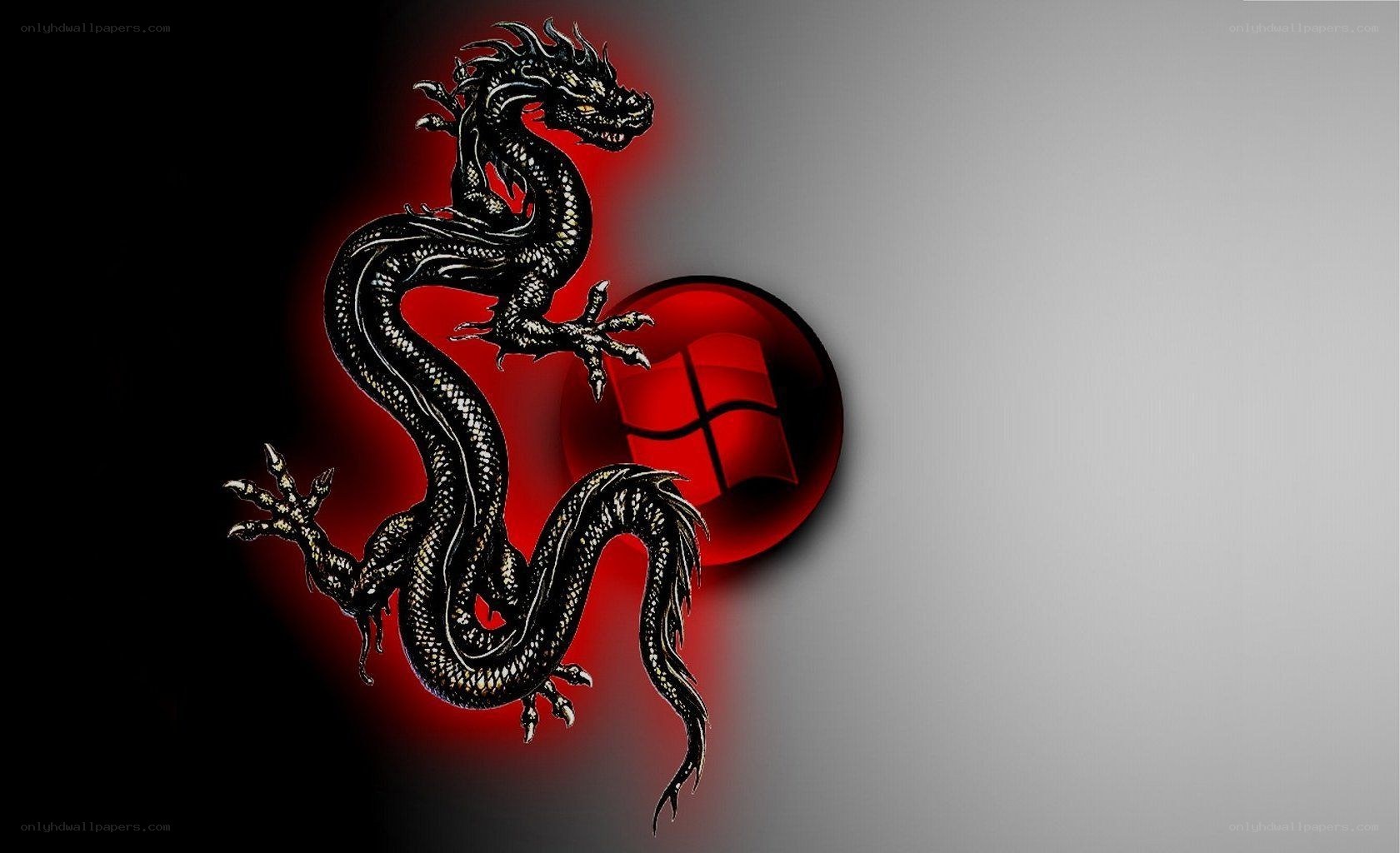 black dragon with windows logo