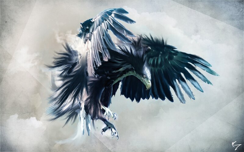 Black Eagle in Flight — Dramatic