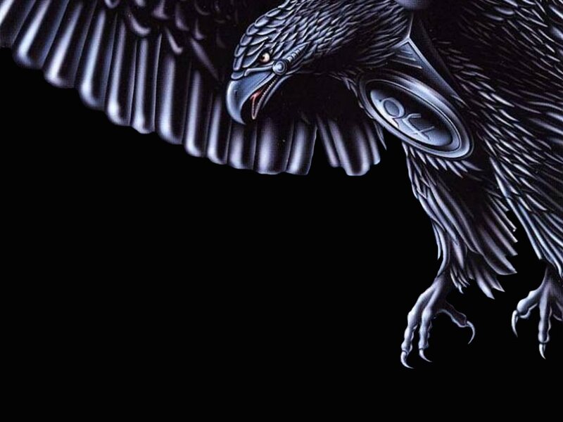 Black Eagle in Flight