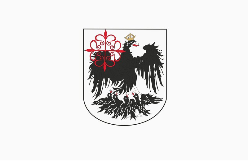 Black Eagle with Red Cross