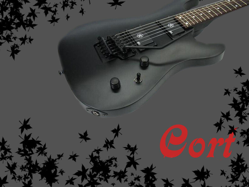 Black Electric Guitar — Dramatic, Photograph, Leaves