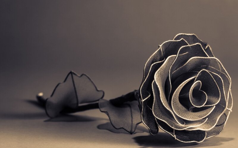 Black Fabric Rose — Gray, Dramatic, Photograph