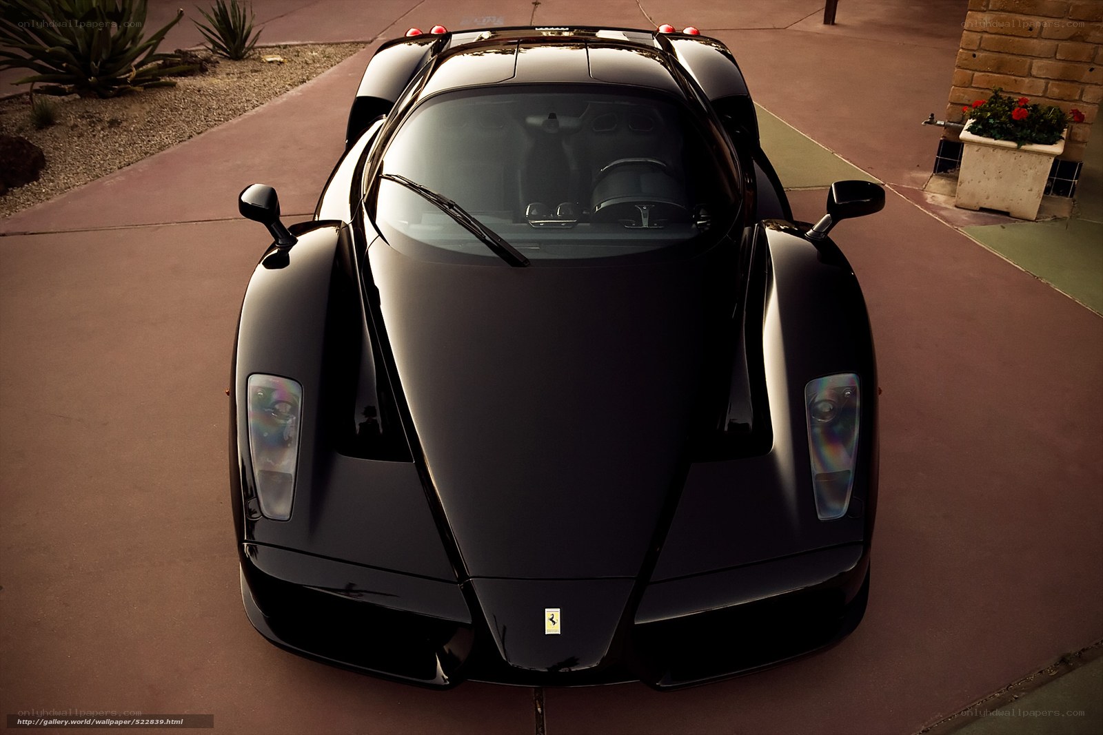 Black Ferrari Enzo front view