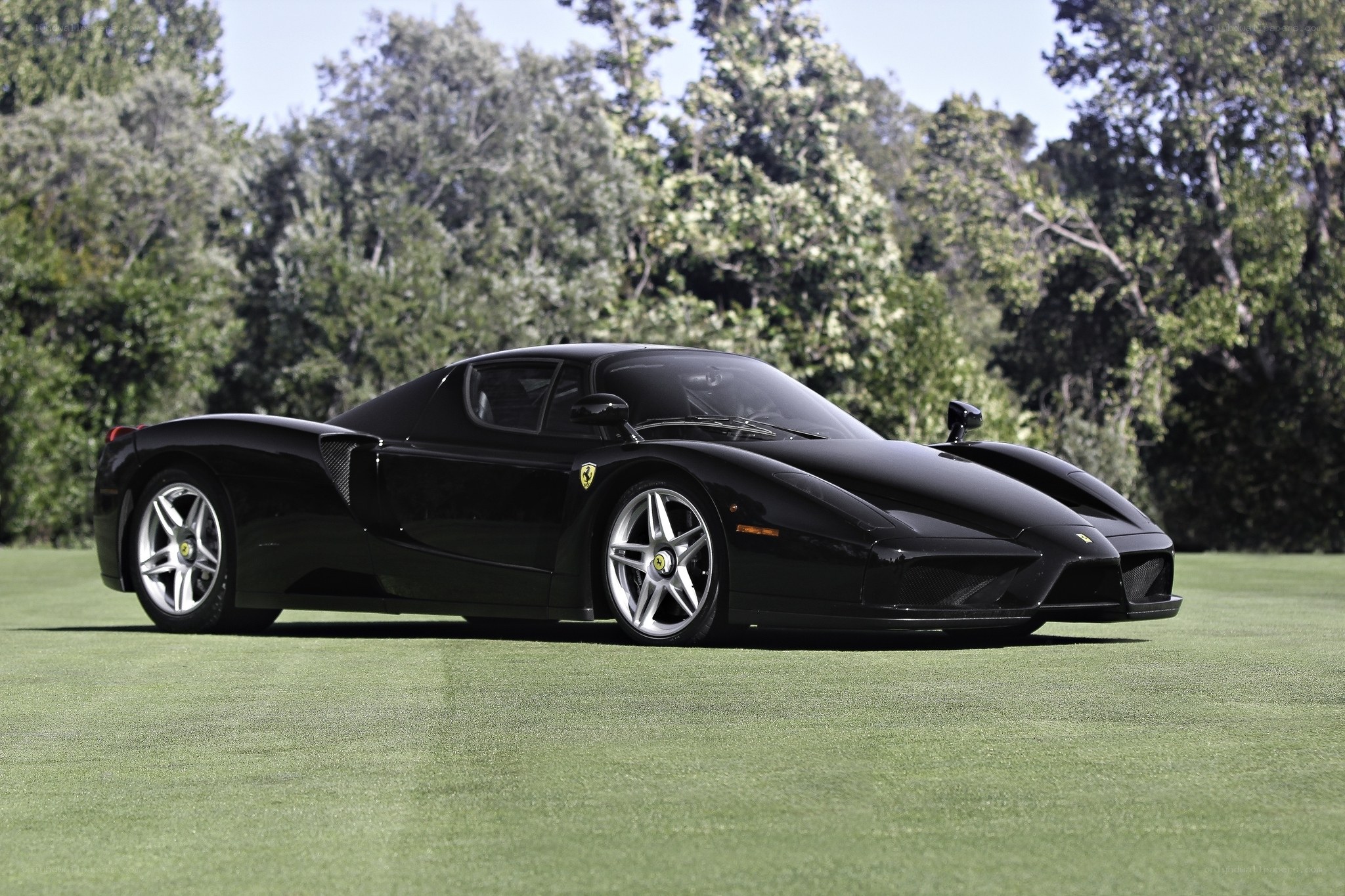 Black Ferrari Enzo on a golf course