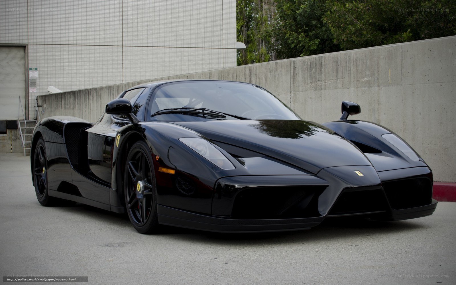 Black Ferrari Enzo sports car