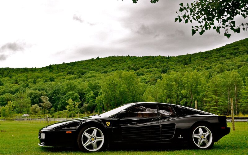 Black Ferrari in a green field