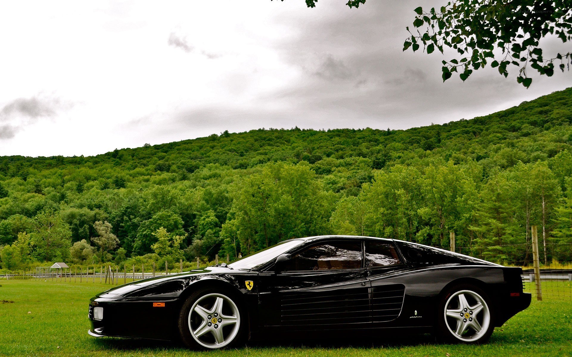 Black Ferrari in a green field