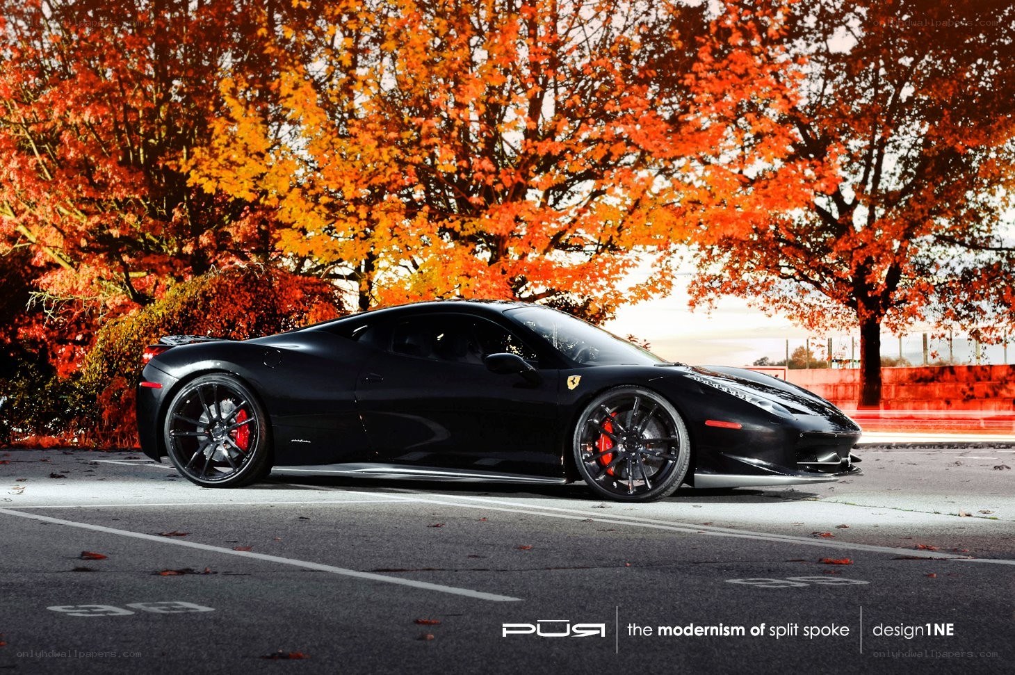 Black Ferrari in autumn