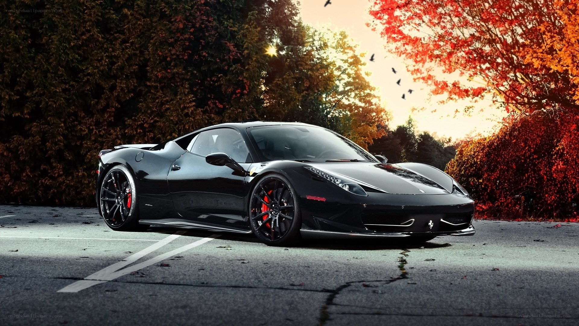 Black Ferrari in autumn