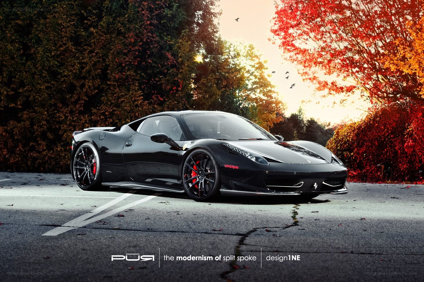 Black Ferrari in autumn setting