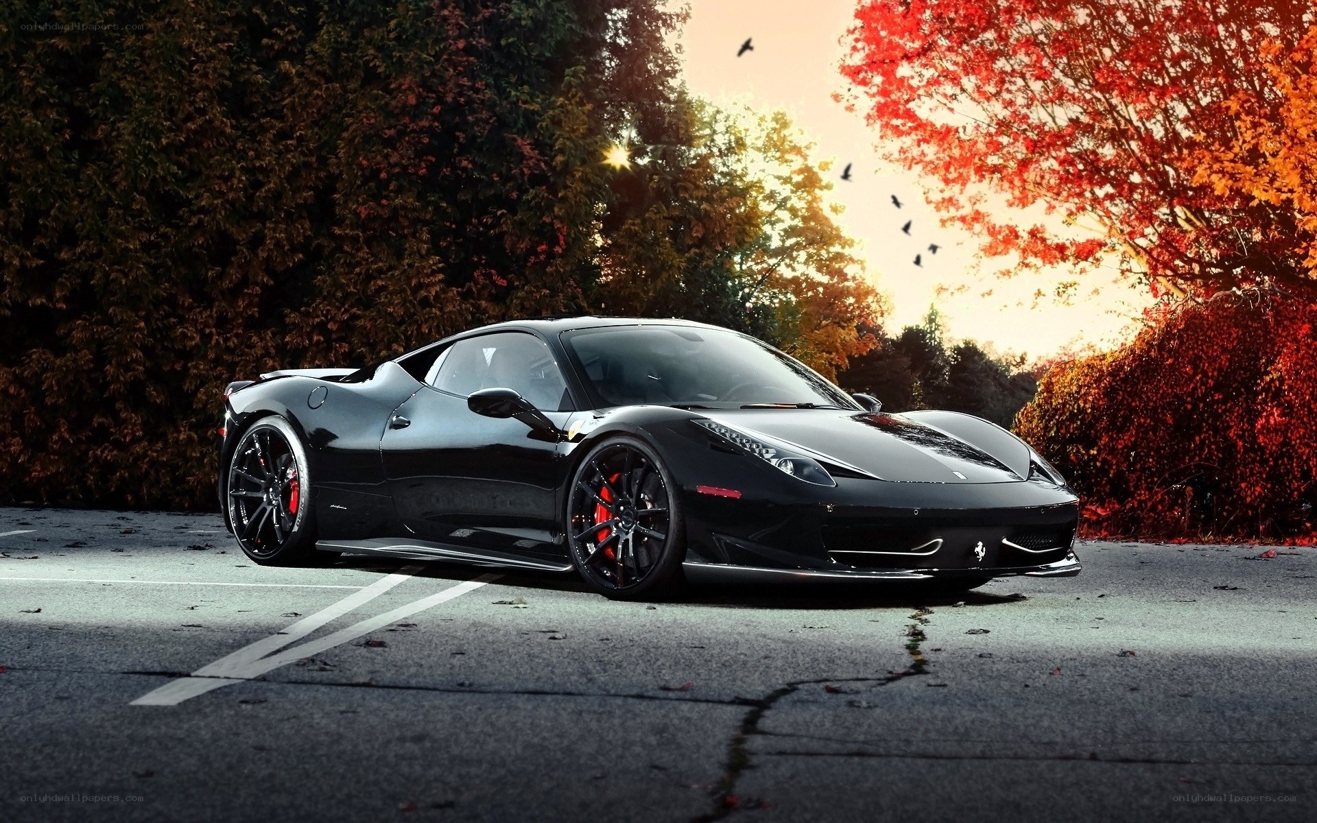 Black Ferrari in autumn setting