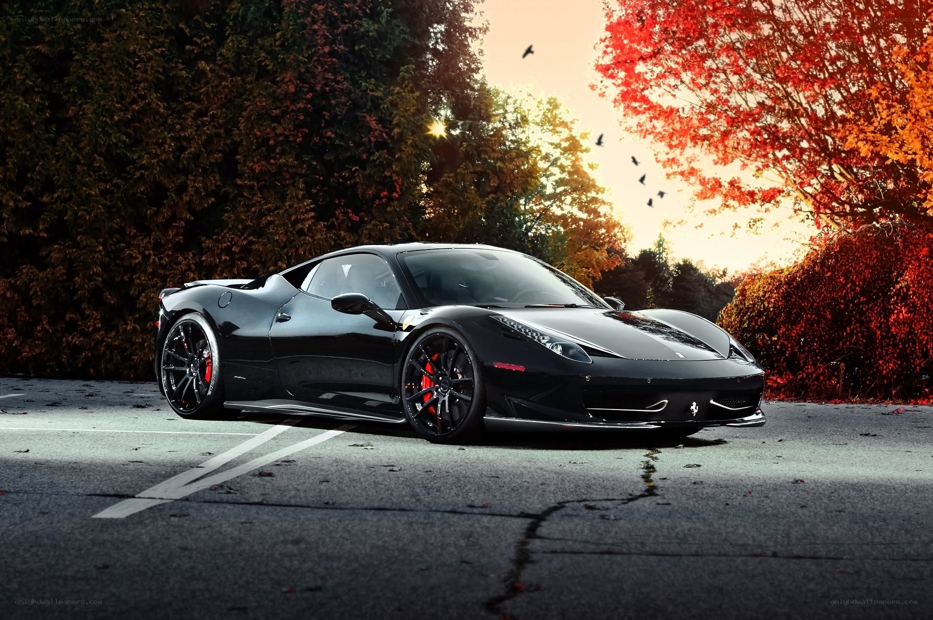Black Ferrari in autumn setting
