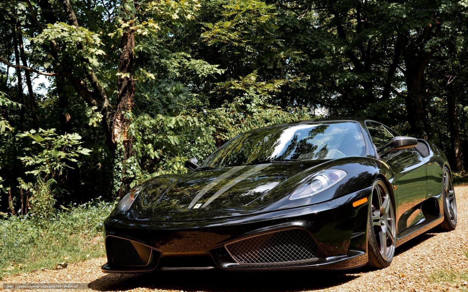 Black Ferrari in forest