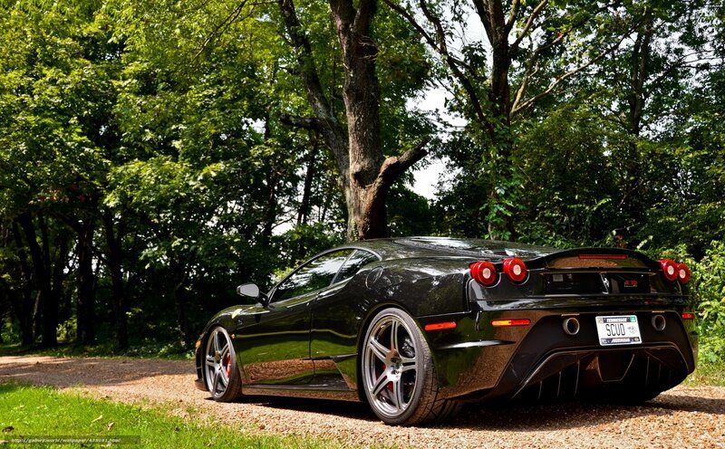 Black Ferrari in forest