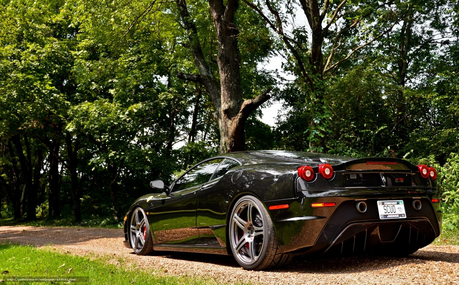 Black Ferrari in forest