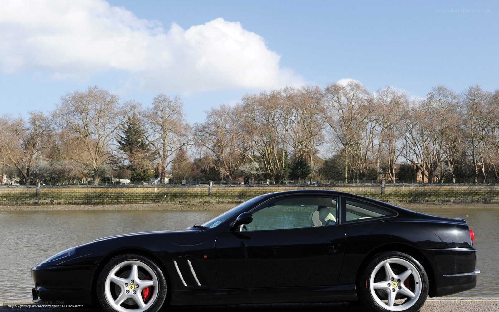Black Ferrari on riverbank