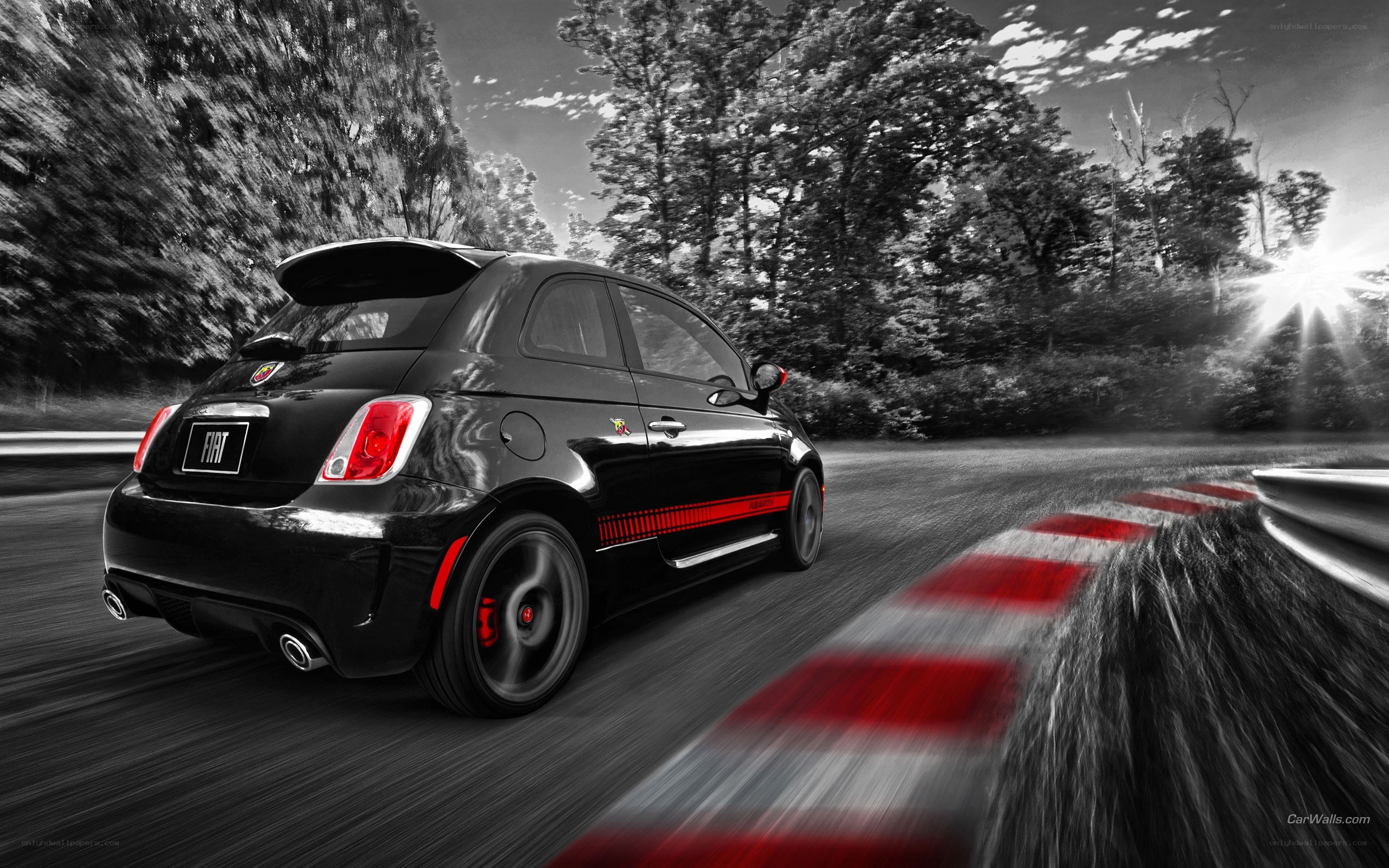 black fiat racing on track