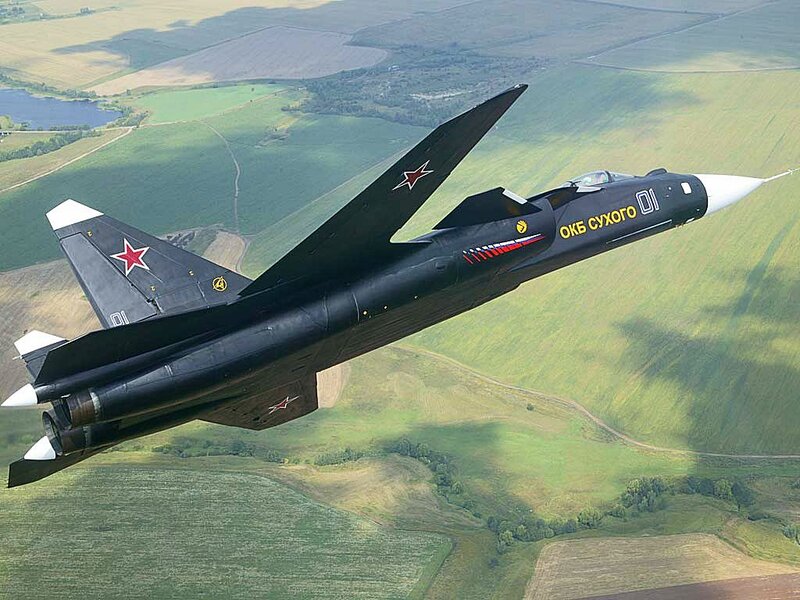 Black Fighter Jet — Dynamic