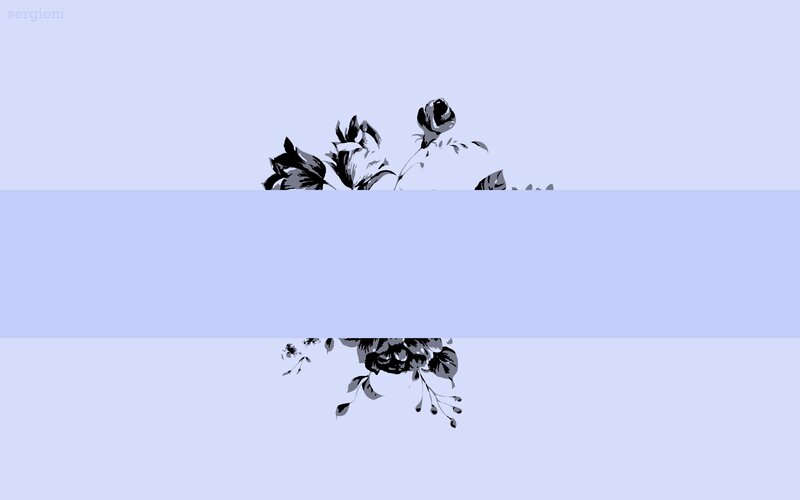 Black Floral Pattern — Light Blue