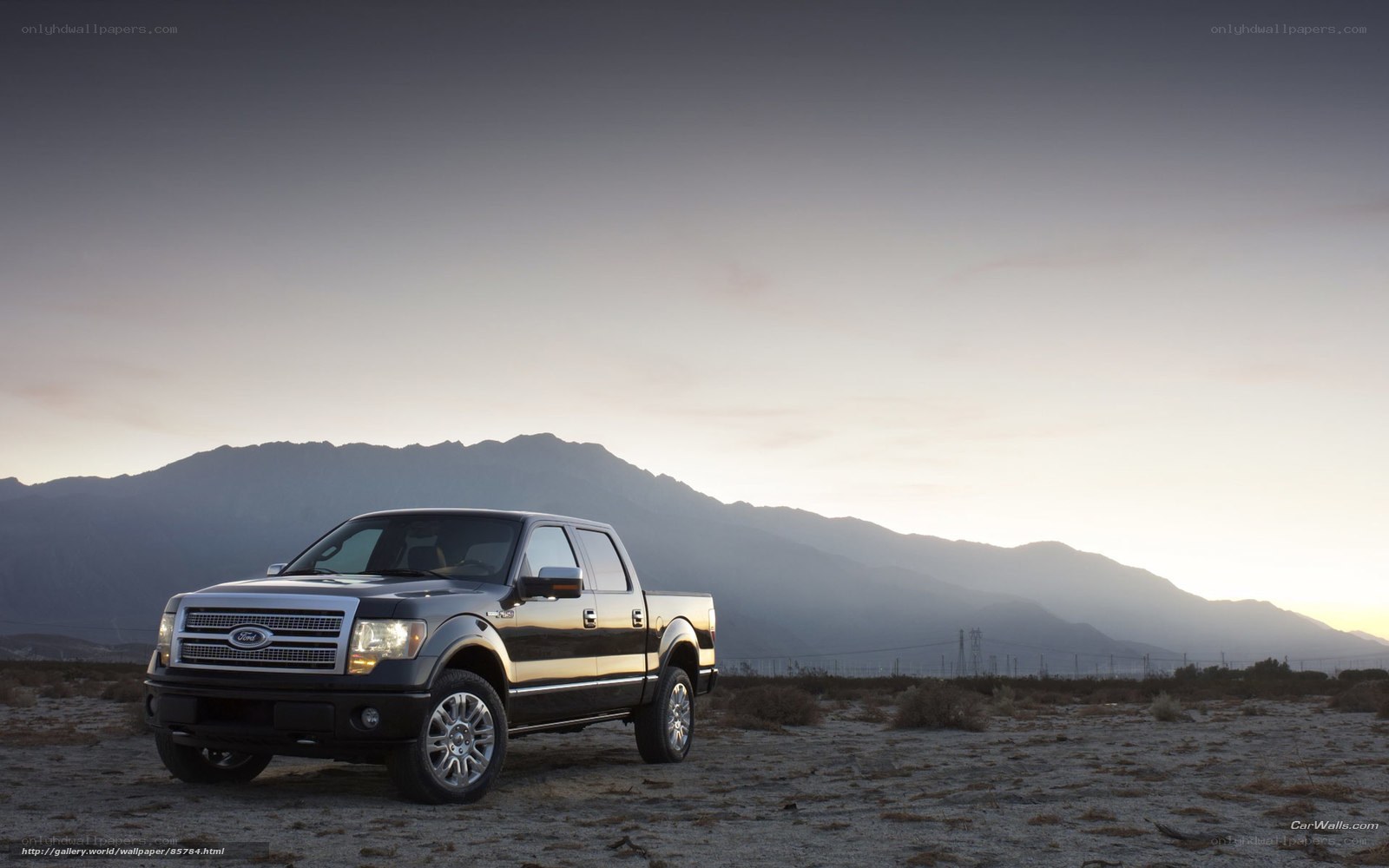 Black Ford F-150 in desert