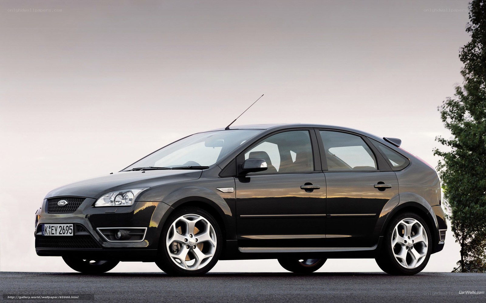 black ford focus hatchback